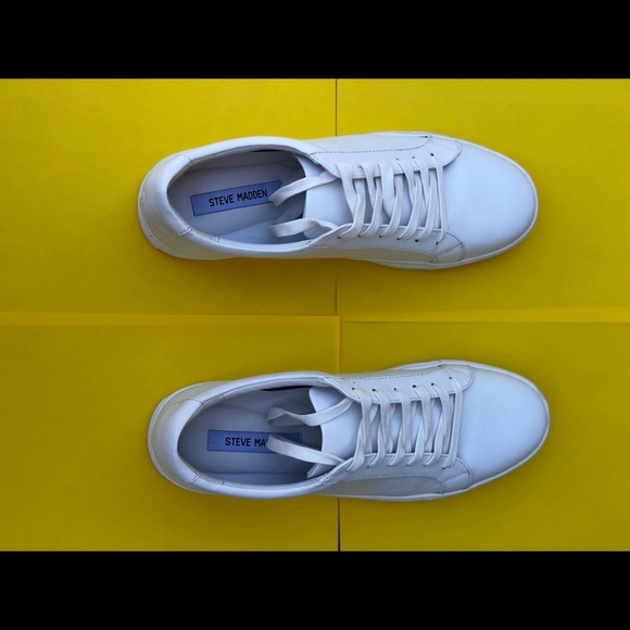 Steve Madden | Shoes | Steve Madden 